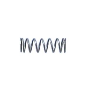 Valve Spring